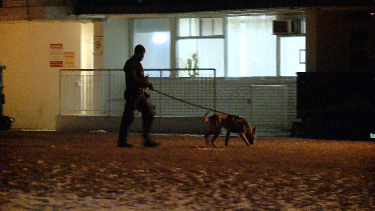 Police say a 14-year-old girl was shot in the head at an apartment building on Stong Court, near Jane St & Finch Av in North York. Victim transported by emergency run to a children's hospital with very critical injuries. Four suspects fled on foot