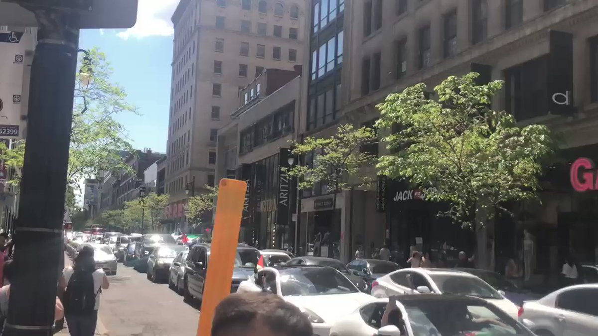 Palestine counter-protesters advance towards the police and the Pro-Israel side. 