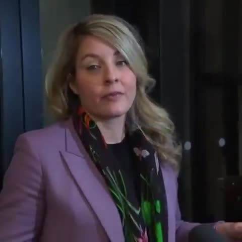 Canadian Foreign Affairs Minister Mélanie Joly has confirmed that Canada will implement retaliatory tariffs against the United States. Tariffs will soon be placed on U.S. exports, including orange juice, peanut butter, wine, coffee, cars, trucks, steel, and aluminum. Joly stated that Canada is fully prepared to impose tariffs on up to C$155 billion worth of American goods in response to proposed U.S. tariffs. She emphasized, Let’s be clear—we are ready. We are ready with $155 billion in tariffs.